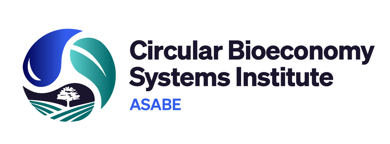 CBSI Logo